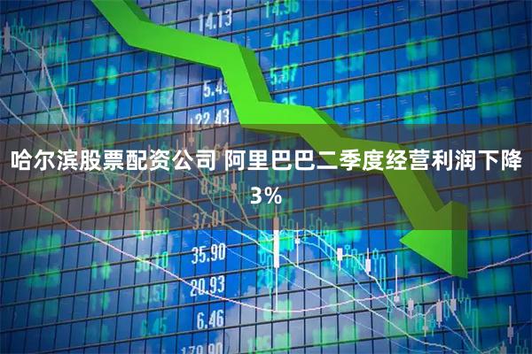 哈尔滨股票配资公司 阿里巴巴二季度经营利润下降3%