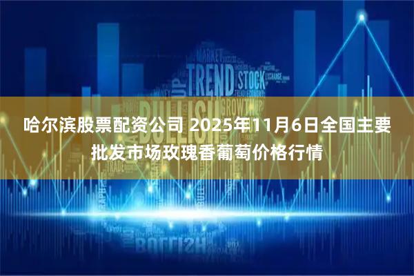 哈尔滨股票配资公司 2025年11月6日全国主要批发市场玫瑰香葡萄价格行情
