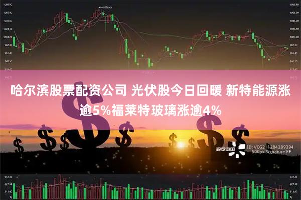 哈尔滨股票配资公司 光伏股今日回暖 新特能源涨逾5%福莱特玻璃涨逾4%