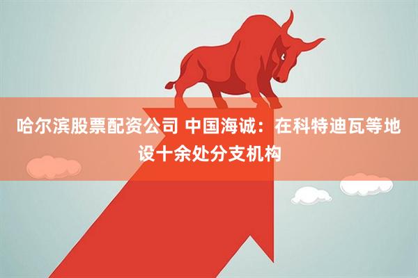哈尔滨股票配资公司 中国海诚：在科特迪瓦等地设十余处分支机构
