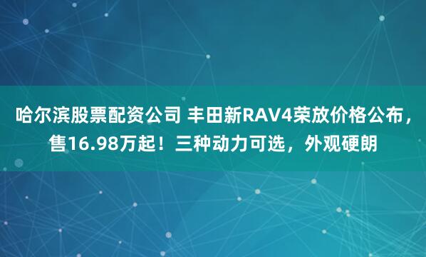哈尔滨股票配资公司 丰田新RAV4荣放价格公布，售16.98万起！三种动力可选，外观硬朗