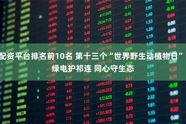 配资平台排名前10名 第十三个“世界野生动植物日”：绿电护祁连 同心守生态